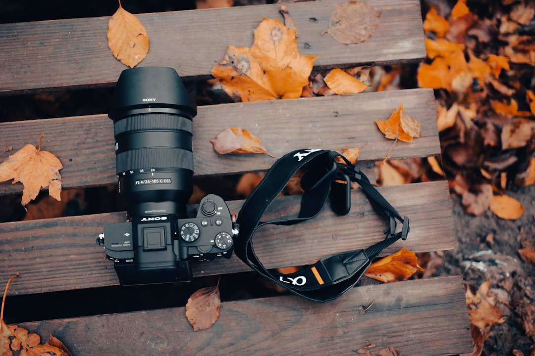 Unconventional Uses of Everyday Items in Photography Unconventional Uses of Everyday Items in Photography